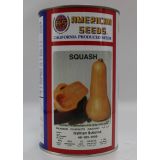 Squash-American Seeds - Wallthum Butternut