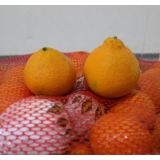 Delmonte FRUXX Orange Morocco
