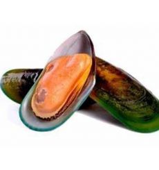 Half Shell Mussels 1kg x10 Pouch
