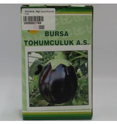 Eggplant Seeds-Bursa Tohumculuk