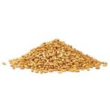 Whole Wheat 1 KG