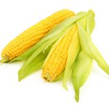 Fresh Corn Kuwaiti - 1KG