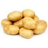Fresh Potato - Kuwaiti