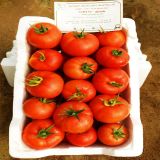 Fresh Tomato Medium 3 KG - Kuwait