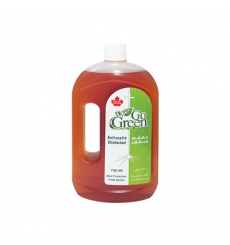 Antiseptic and Disinfectant 12 x 750 ML