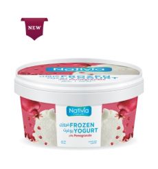 Frozen Yogurt With Pomegranate 500 ml|KDCOW from Kuwait farms
