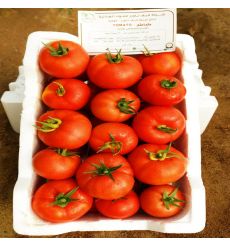 Fresh Tomato Medium 3 KG - Kuwait